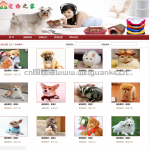 基于SSM框架的流浪宠物领养网站