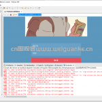 ssm流浪狗后台管理系统
