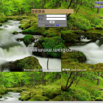 人力资源管理servlet