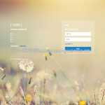 基于web的会议管理系统