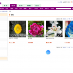 基于web的鲜花商城系统