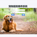 基于springboot的宠物寄养系统