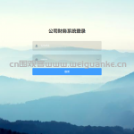基于springboot+vue的财务管理系统