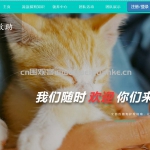 SSM流浪猫狗救助
