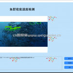 基于openCV的鱼群密度速度检测程序