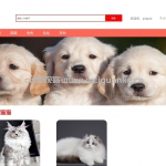 宠物商城-jsp+servlet