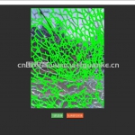 基于OpenCV破碎玻璃检测-opencv