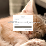 宠物之家管理系统-springboot vue