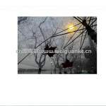 小i人诊所管理系统-springboot+vue