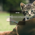 商城管理系统-node.js+vue