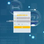 商业辅助决策系统 Vue.js+SpringBoot