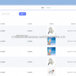 仓库在线管理系统-ssm+vue