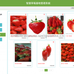 草莓基地管理系统 Vue.js+SpringBoot