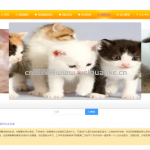 流浪猫狗救助救援网站-springboot+vue