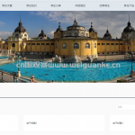 中医养生系统springboot  vue java