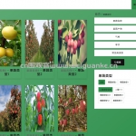 果蔬作物疾病防治系统 Vue.js+SpringBoot