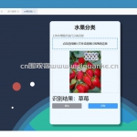基于cnn的水果识别系统