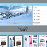 手机销售网站-springboot+vue