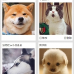 流浪动物救助系统 小程序+SpringBoot