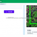 深度学习白菜病害识别系统CNN python