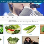 农业信息化服务平台-ssm+vue