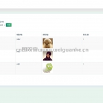 乡镇篮球队管理系统-ssm