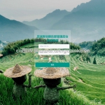 足球青训俱乐部管理-springboot+vue