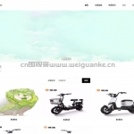 电动车租赁网站-ssm