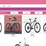 便民自行车管理系统-ssm