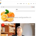 国学文化网站 SSM