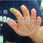 手势识别 左右手 剪刀石头布-Mediapipe  opencv-python