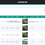 社区养老服务小程序-ssm+app