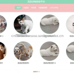 流浪动物救助平台-springboot+vue