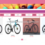 便民自行车管理系统-ssm + vue