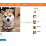 流浪动物救助站-ssm + vue