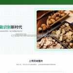 基于深度学习的中药库管理及识别系统