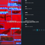 基于深度学习的海中生物识别系统