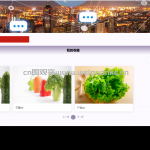 北部湾地区助农平台-springboot + vue