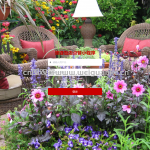 便捷饭店点餐系统-ssm vue mysql 微信小程序