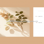 校园朋友圈-springboot + vue +微信小程序