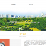 小区车辆管理系统-springboot + vue