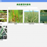 基于 flask+sqlite架构（有稻）水稻图片识别系统