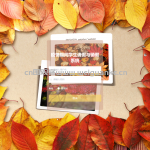 学生请假与销假系统-ssm vue mysql 微信小程序