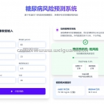 基于随机森林的糖尿病风险预测可视化系统