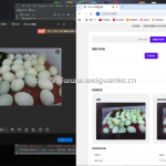 基于flask+daisyUI+yolo5的鸭胚检测