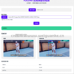 基于 flask+ daisyUI+ yolov8匹克球姿态检测
