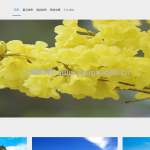 山西文旅网-springboot + vue