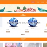 电商平台-ssm vue mysql