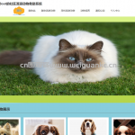 社区流浪动物救助系统-springboot + vue