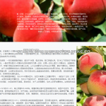 基于图像识别的植物病虫害检测Web应用-TensorFlow+Flask